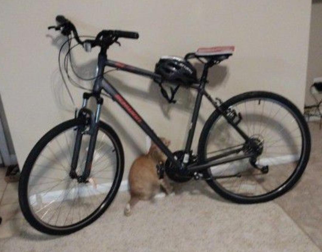 Schwinn Sierra Sport Black