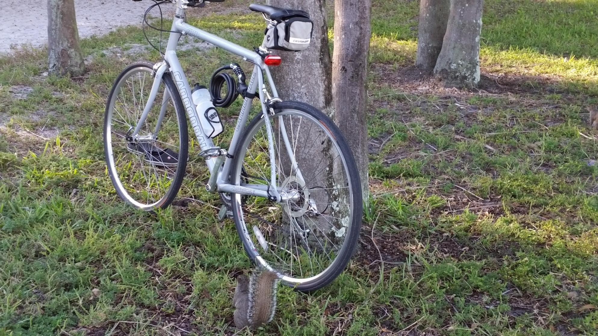 2005 Cannondale 400  Silver or Gray