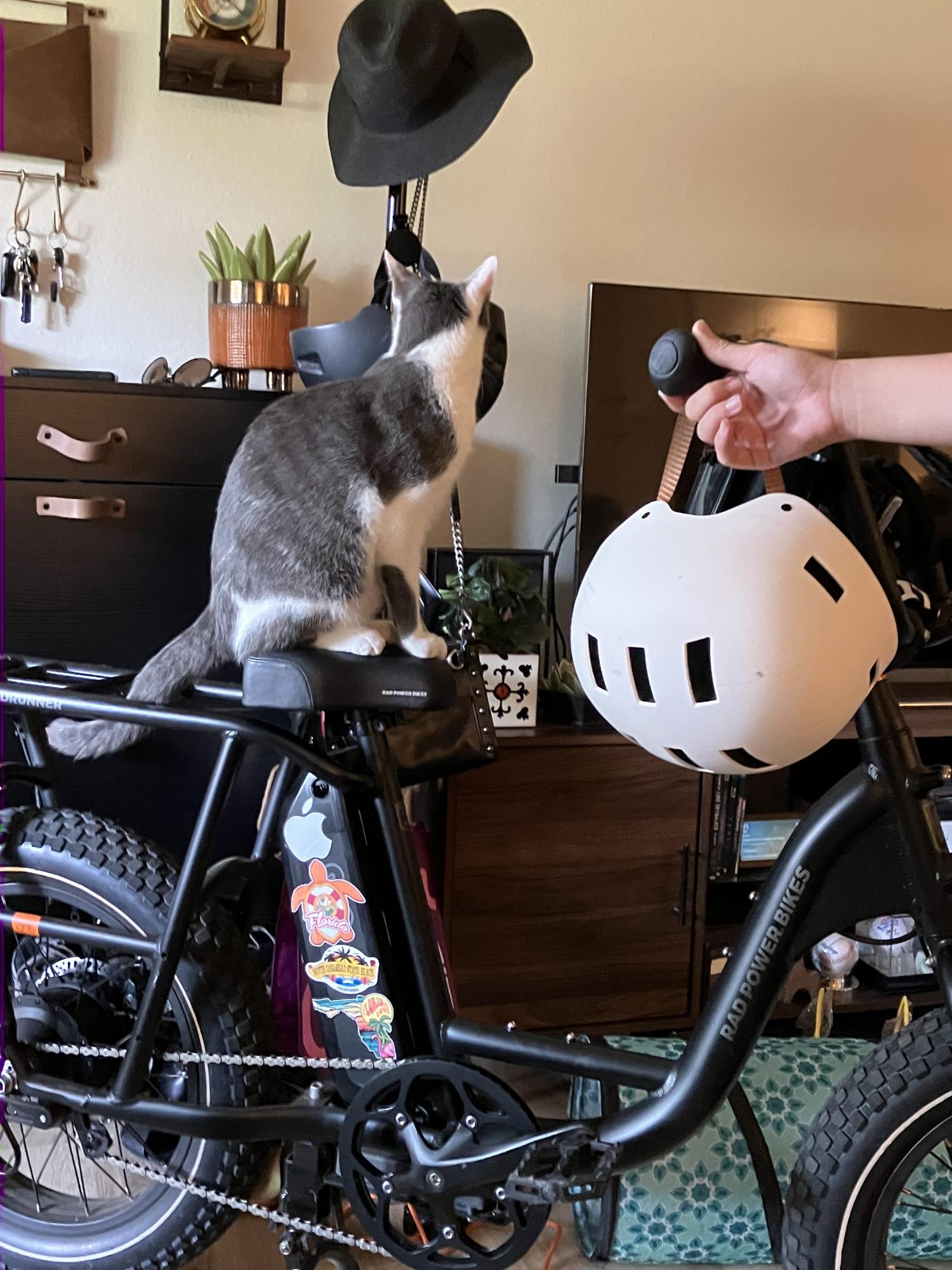 2023 Rad Power Bikes RUNNER 2 Black