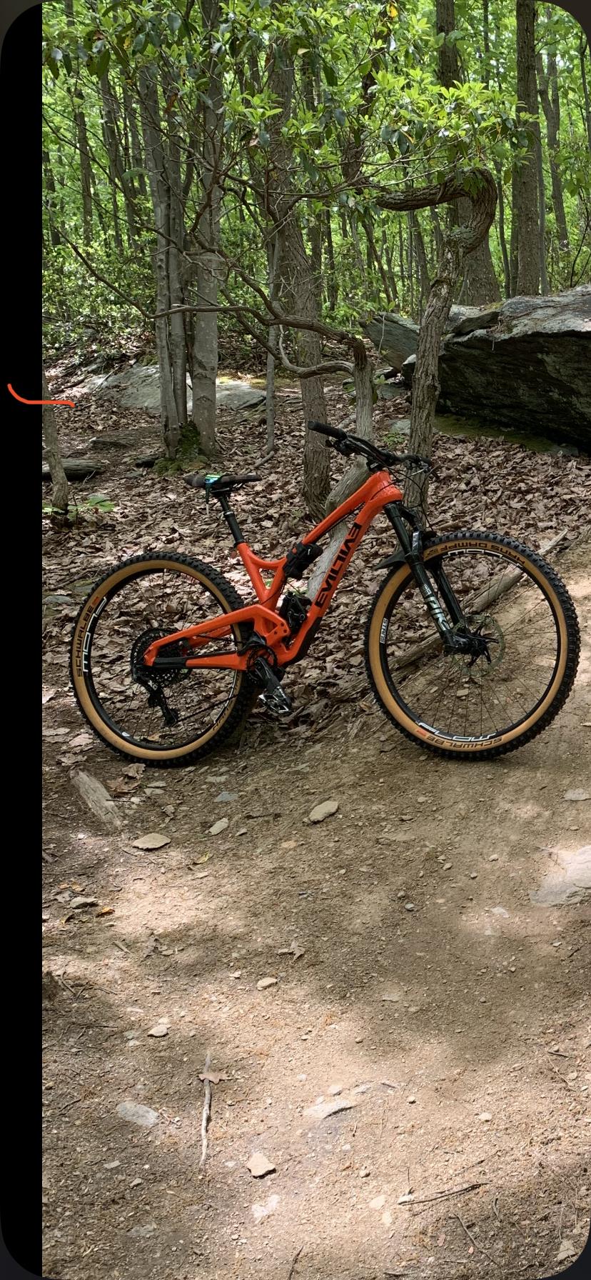 2019 Evil Following Orange