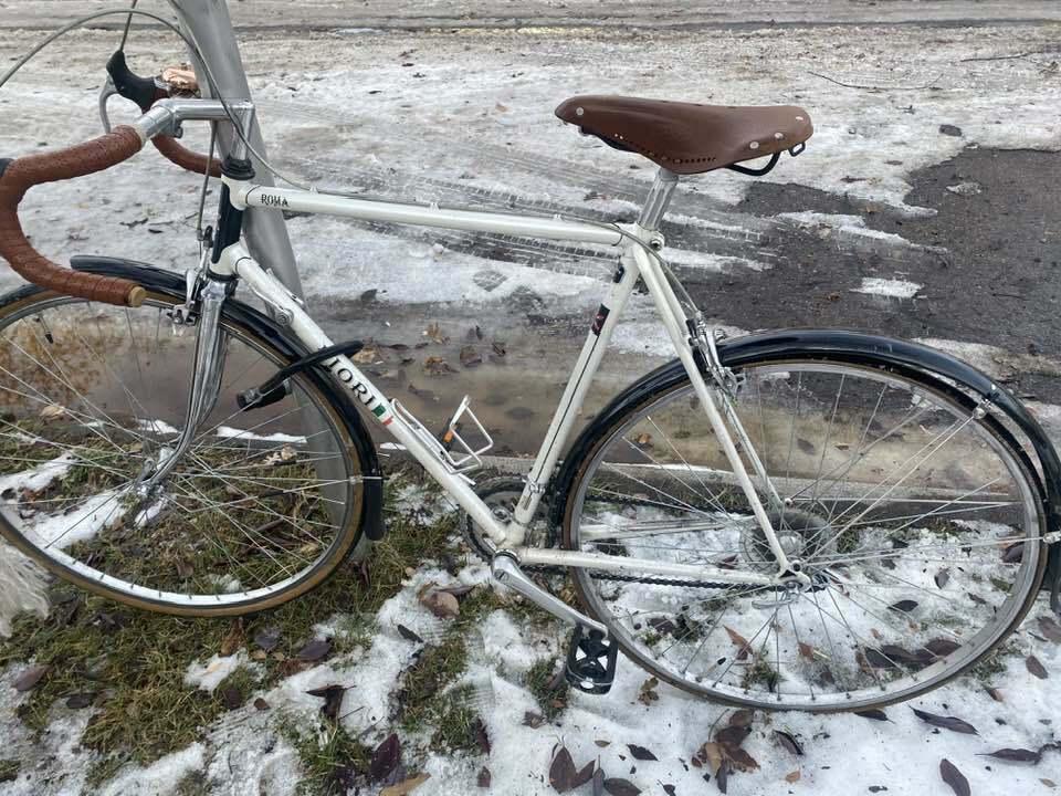 Fiori Roadbike White