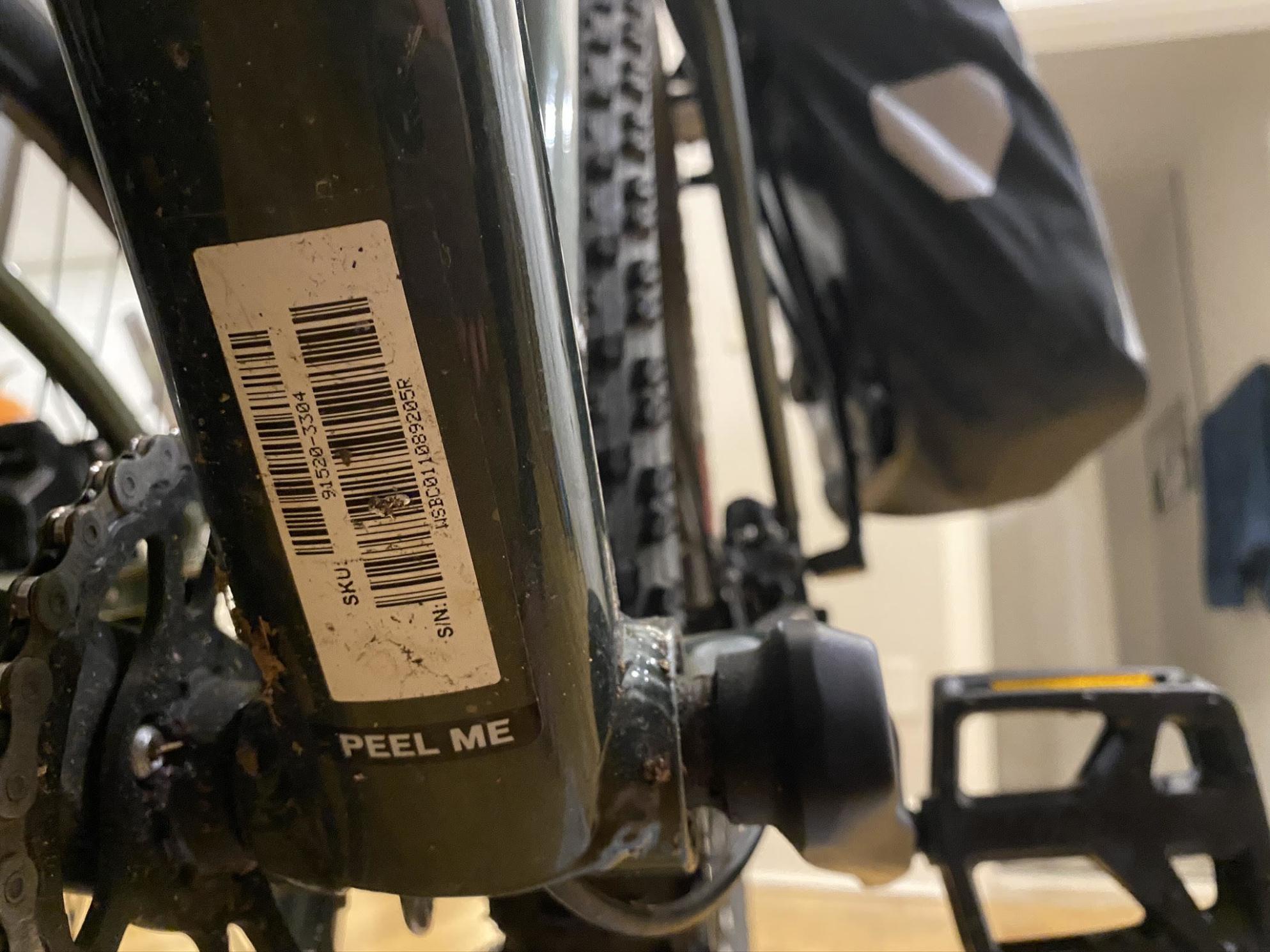 2021 Specialized Rockhopper Expert Green and White