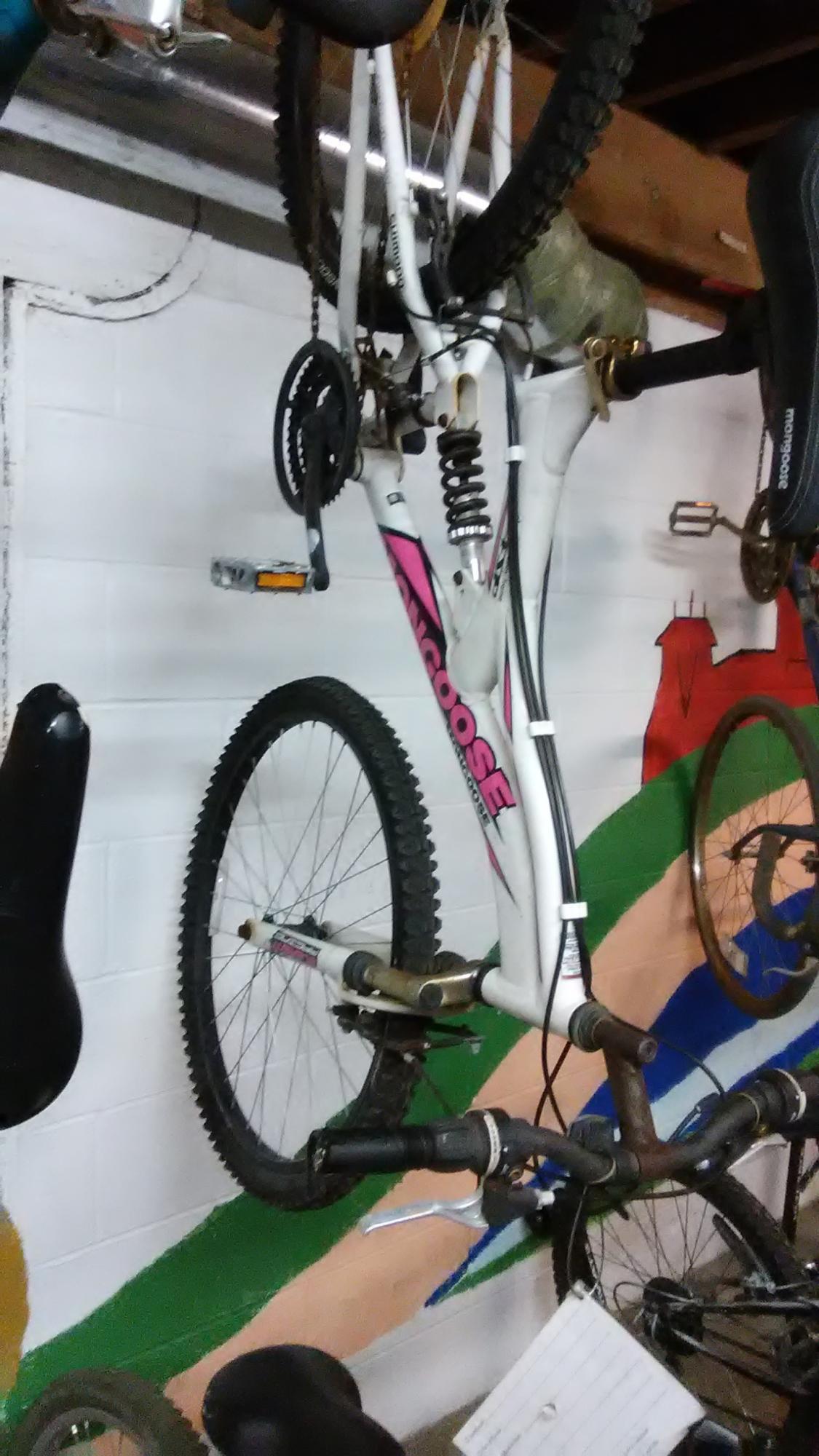 2010 Mongoose mtb White