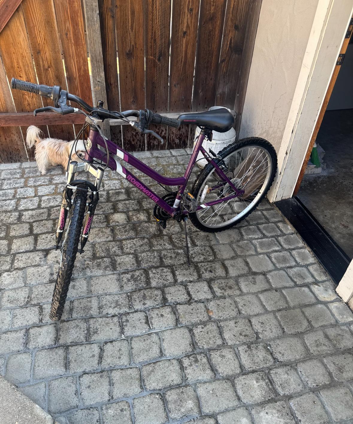 2021 Roadmaster Purple