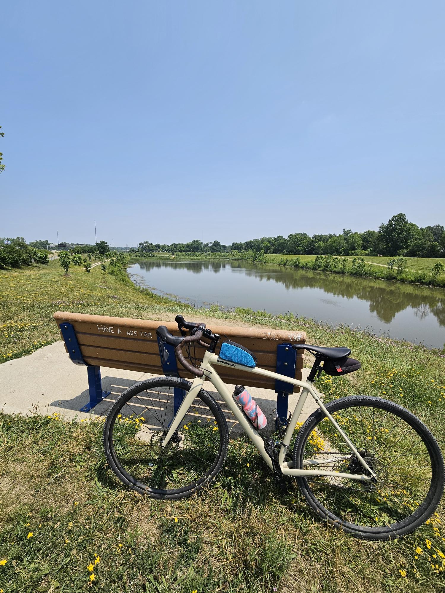 2020 Cannondale 700 Topstone Al 105 Quicksand Yellow or Gold and Black