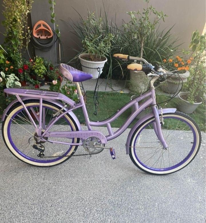 Schwinn Cruiser Purple