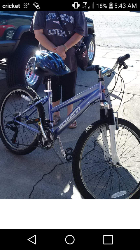 Schwinn Blue and Purple