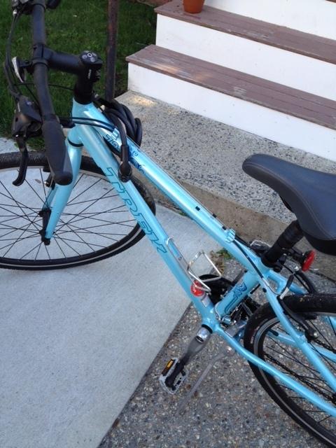 2010 Trek 7.2 FX  Blue