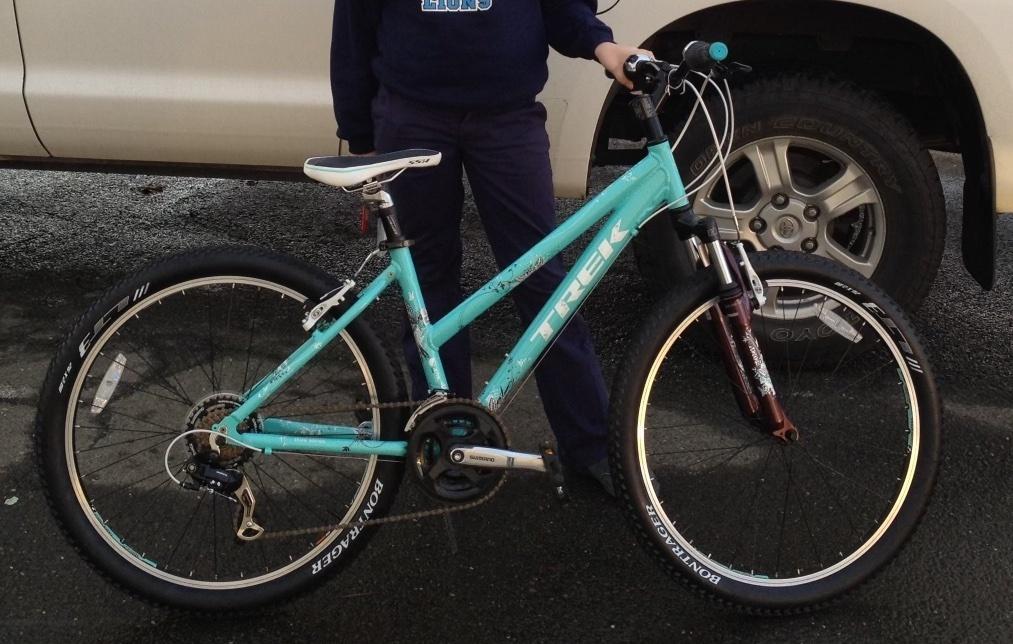2011 Trek Skye Teal