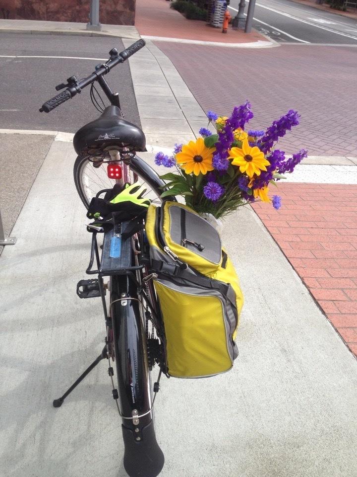 1993 Norco Bikes Cherokee Purple
