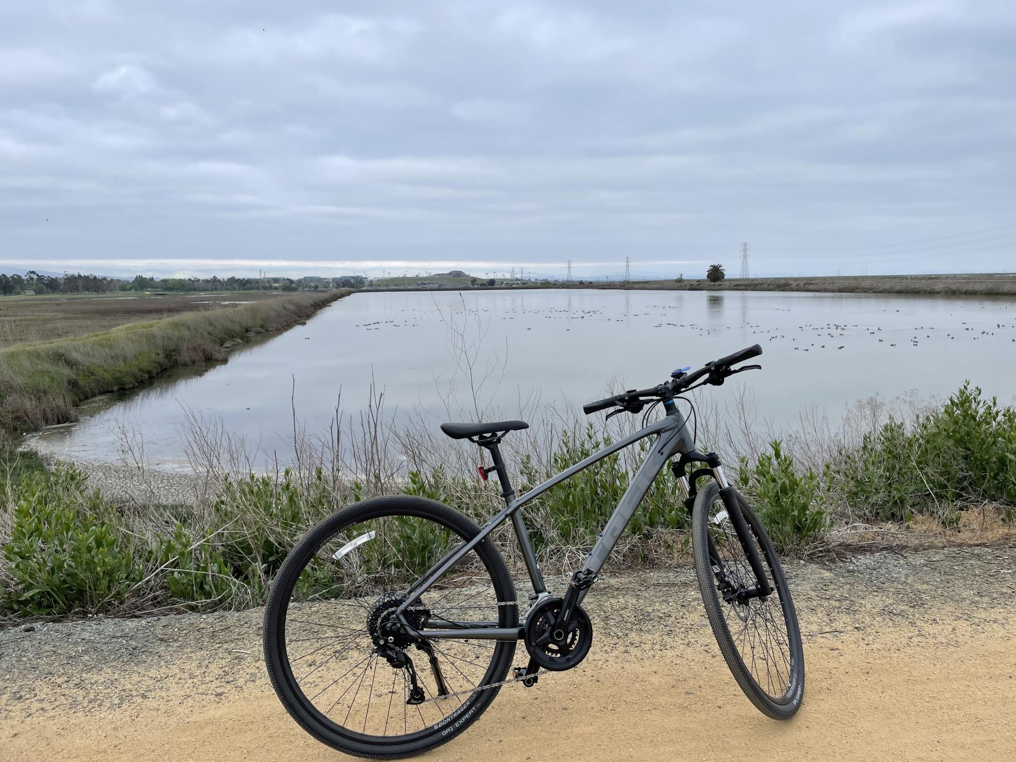 2021 Trek Dual Sport 3 Silver, gray or bare metal