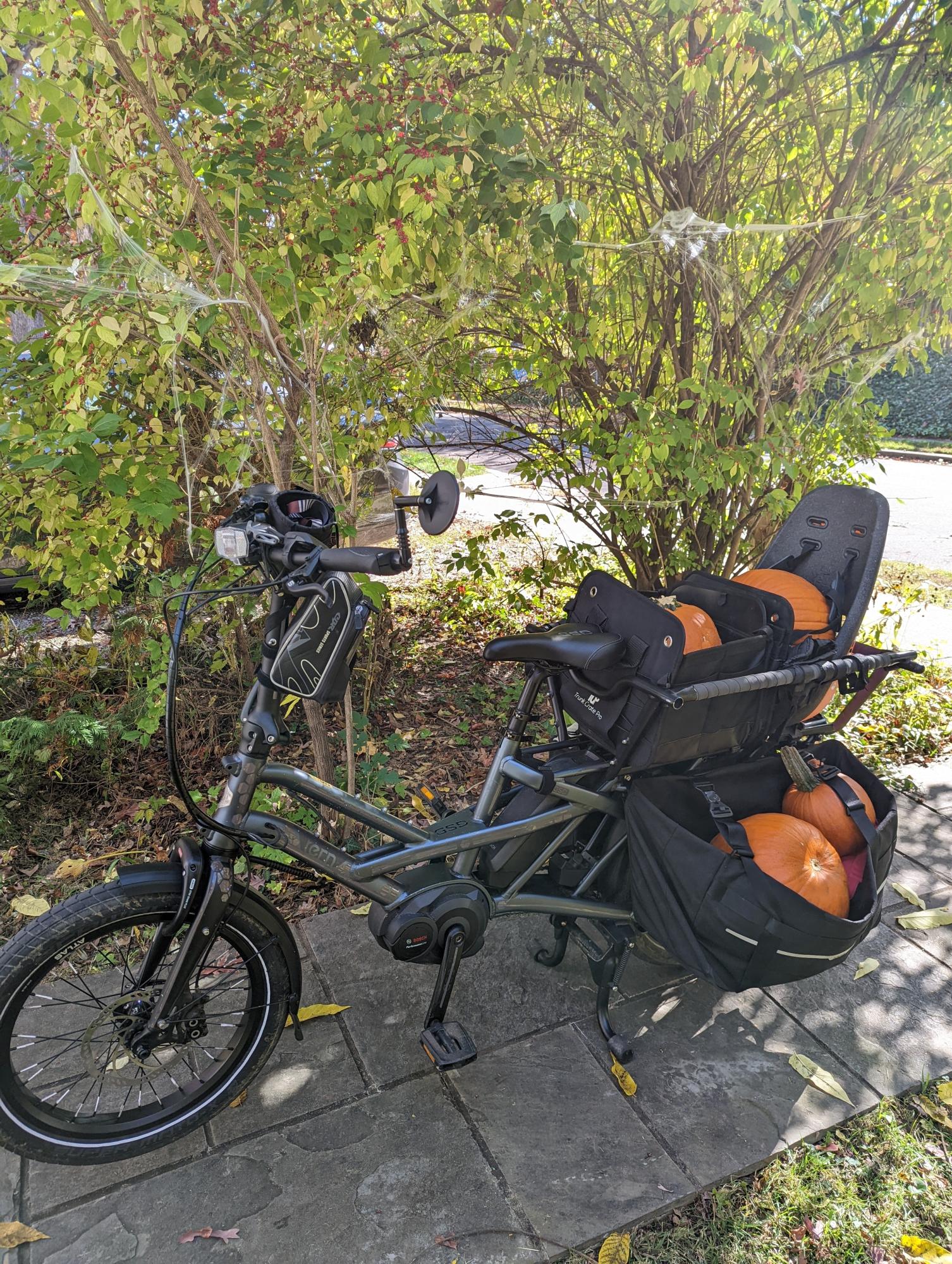 2020 Tern GSD S10 cargo tricycle (rear storage) Blue and Silver, gray or bare metal