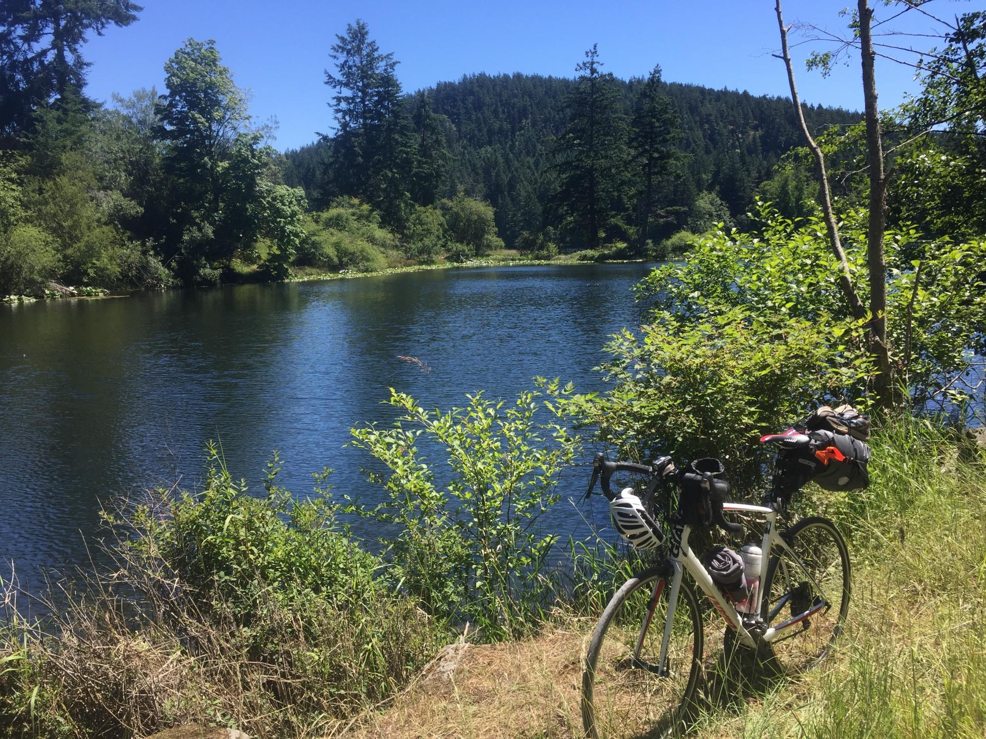 2014 Giant Defy Composite 1 White