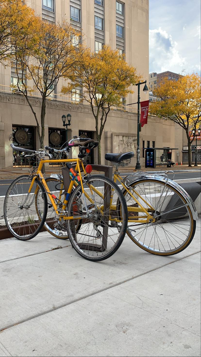 1981 Lotus Legend Yellow or Gold