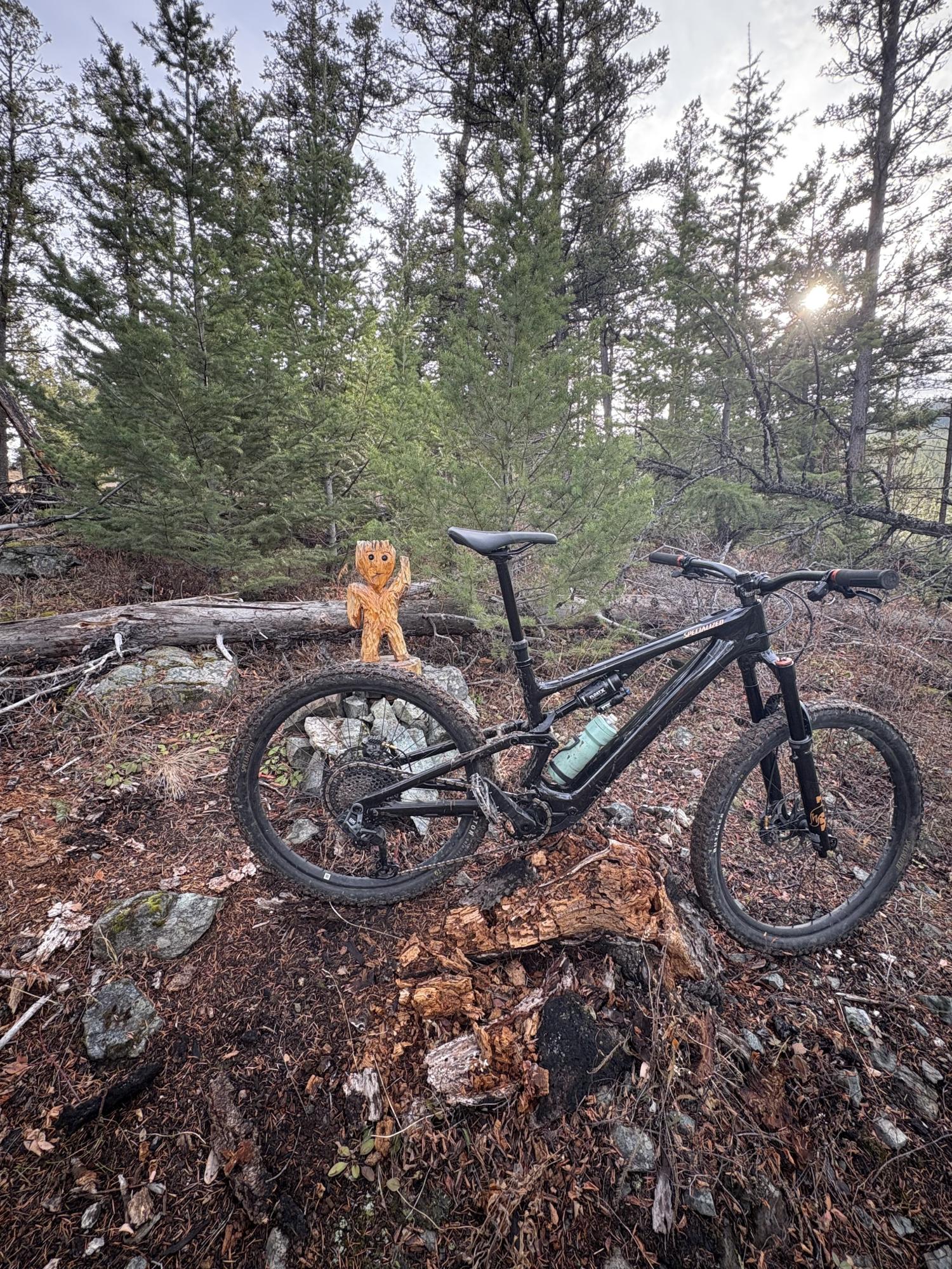 2025 Specialized Turbo Levo SL Black and Orange