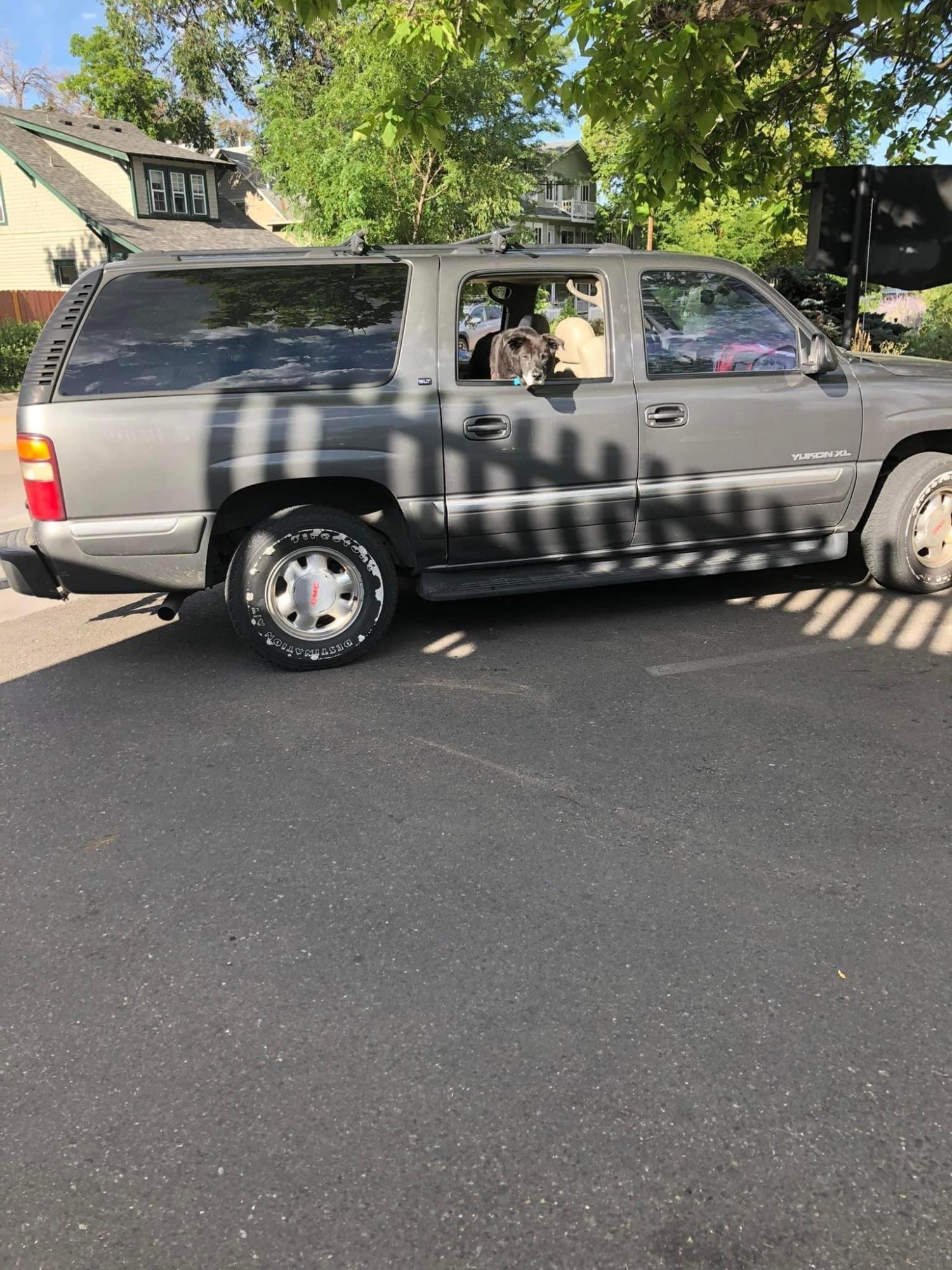 2020 Specialized Rock Hopper Red