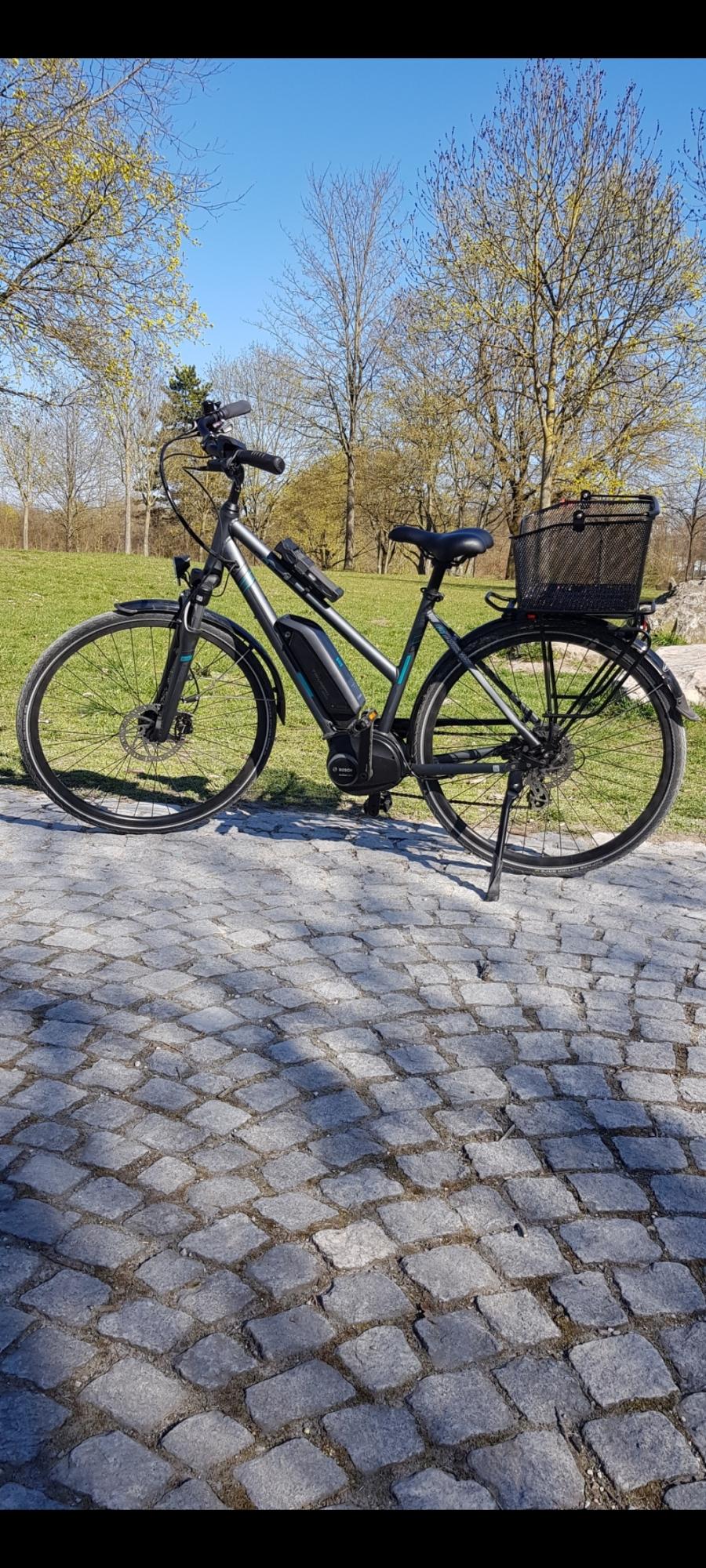 2019 Triumph Cycle E-Bird Silver, gray or bare metal