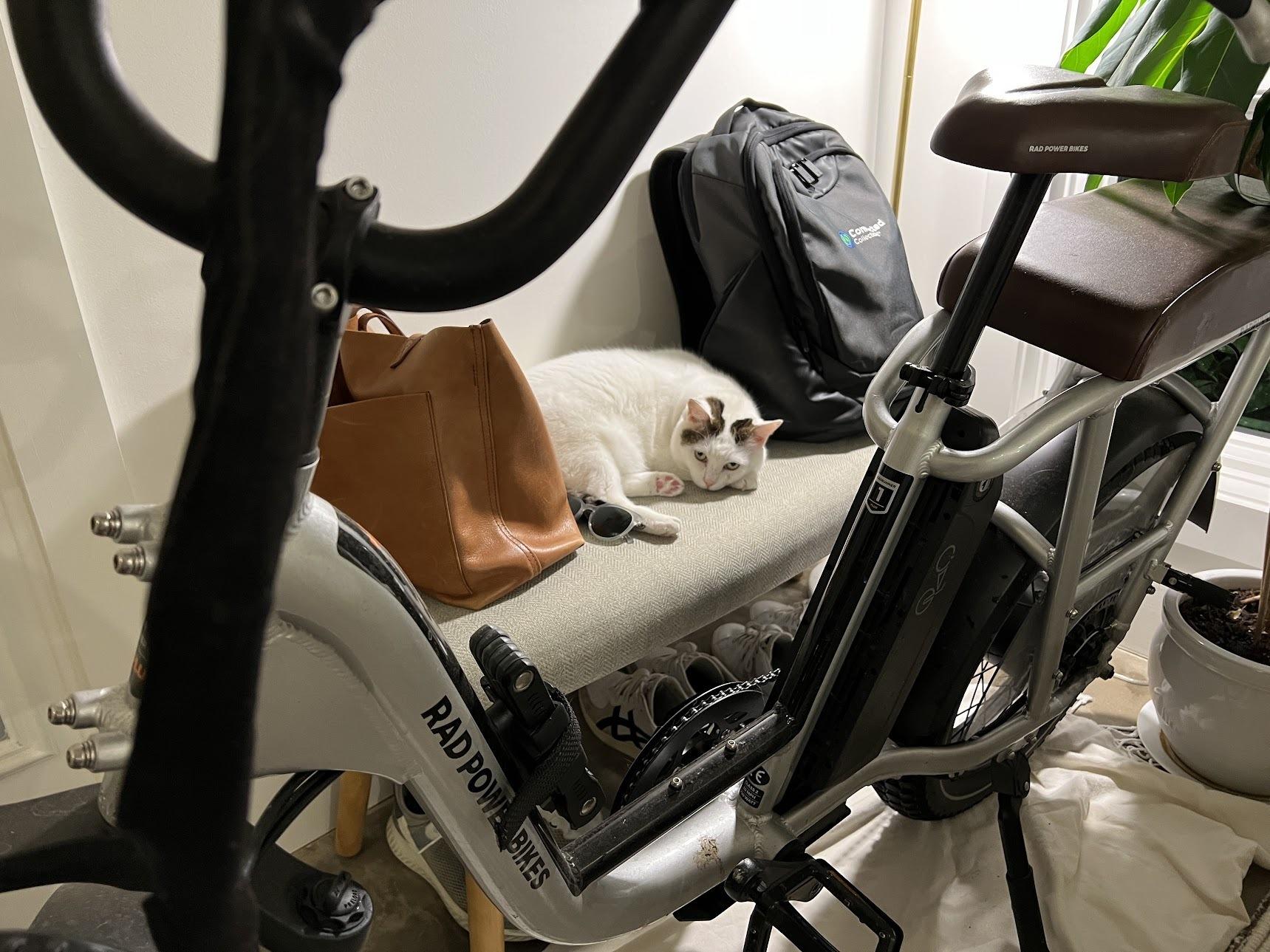 2022 Rad Power Bikes Runner + Silver, gray or bare metal