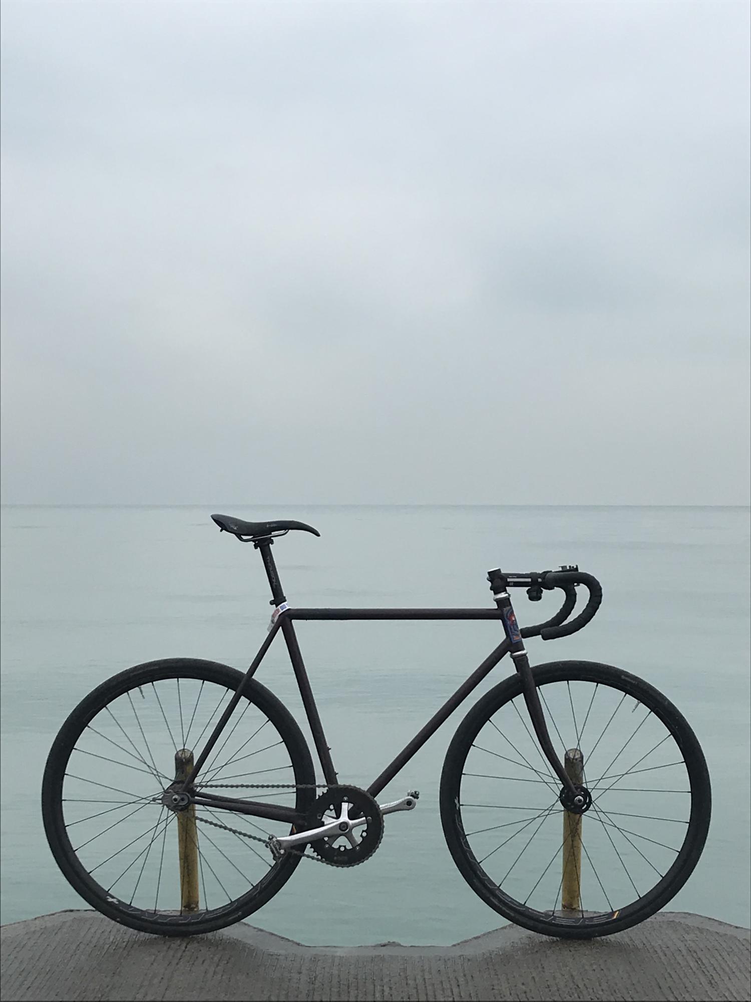 Surly Steamroller Brown