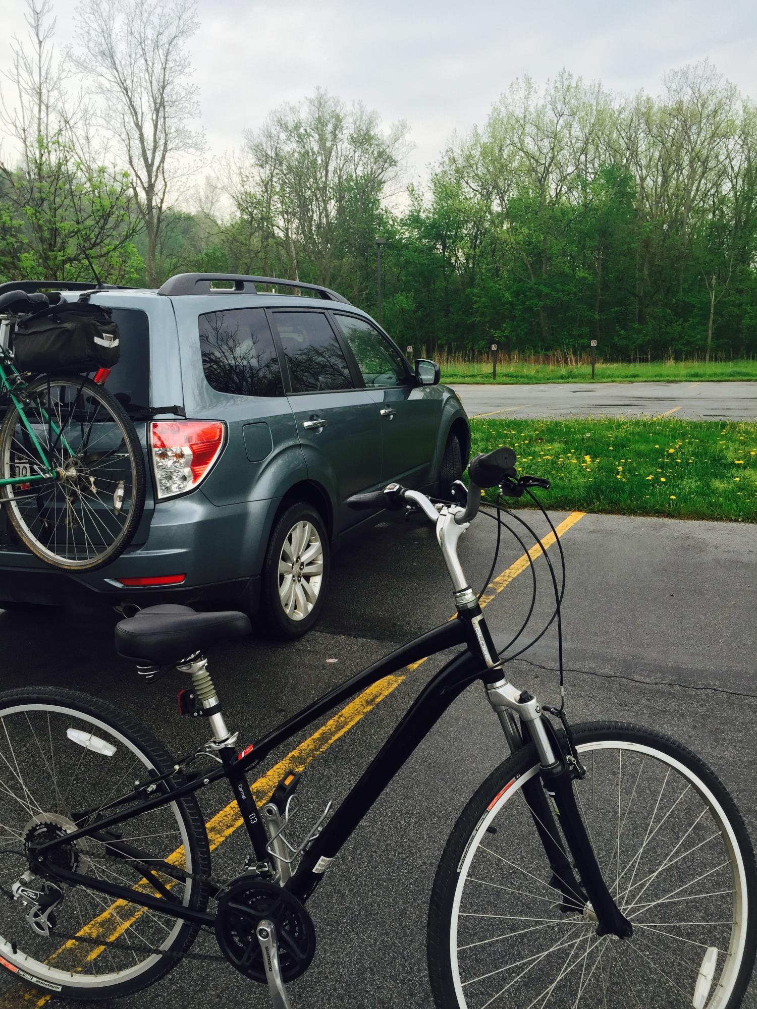 2010 Globe Carmel Black