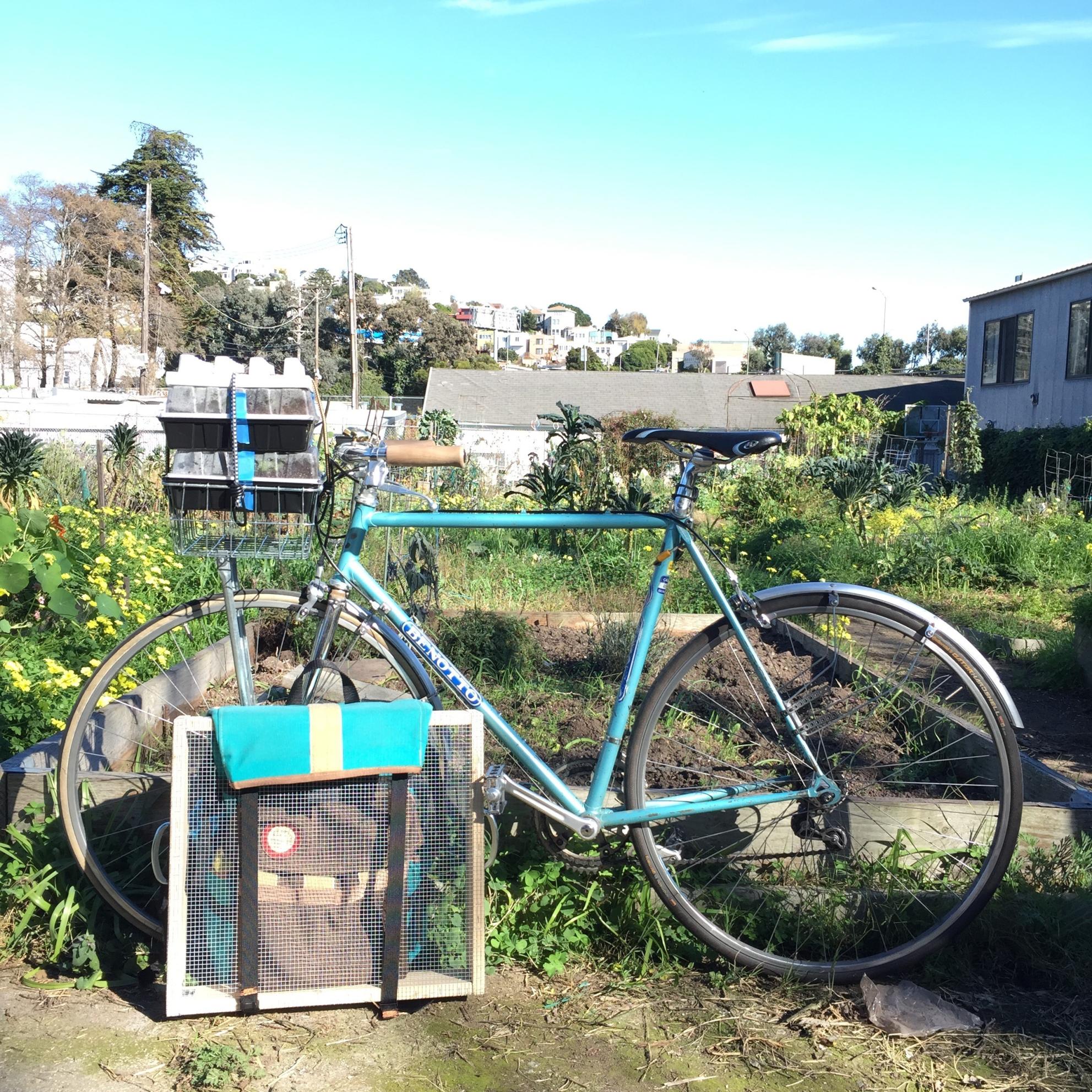 1975 Benotto Modelo 2200 Blue and Teal