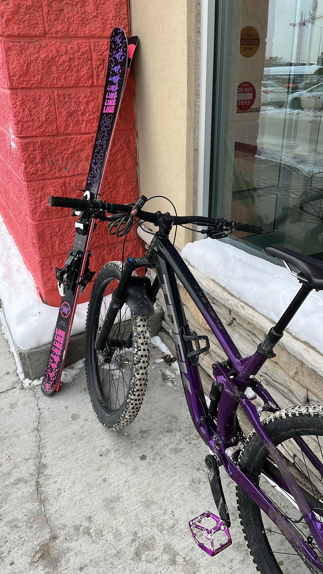 2020 Trek Fuel EX 8.0 Purple and Black