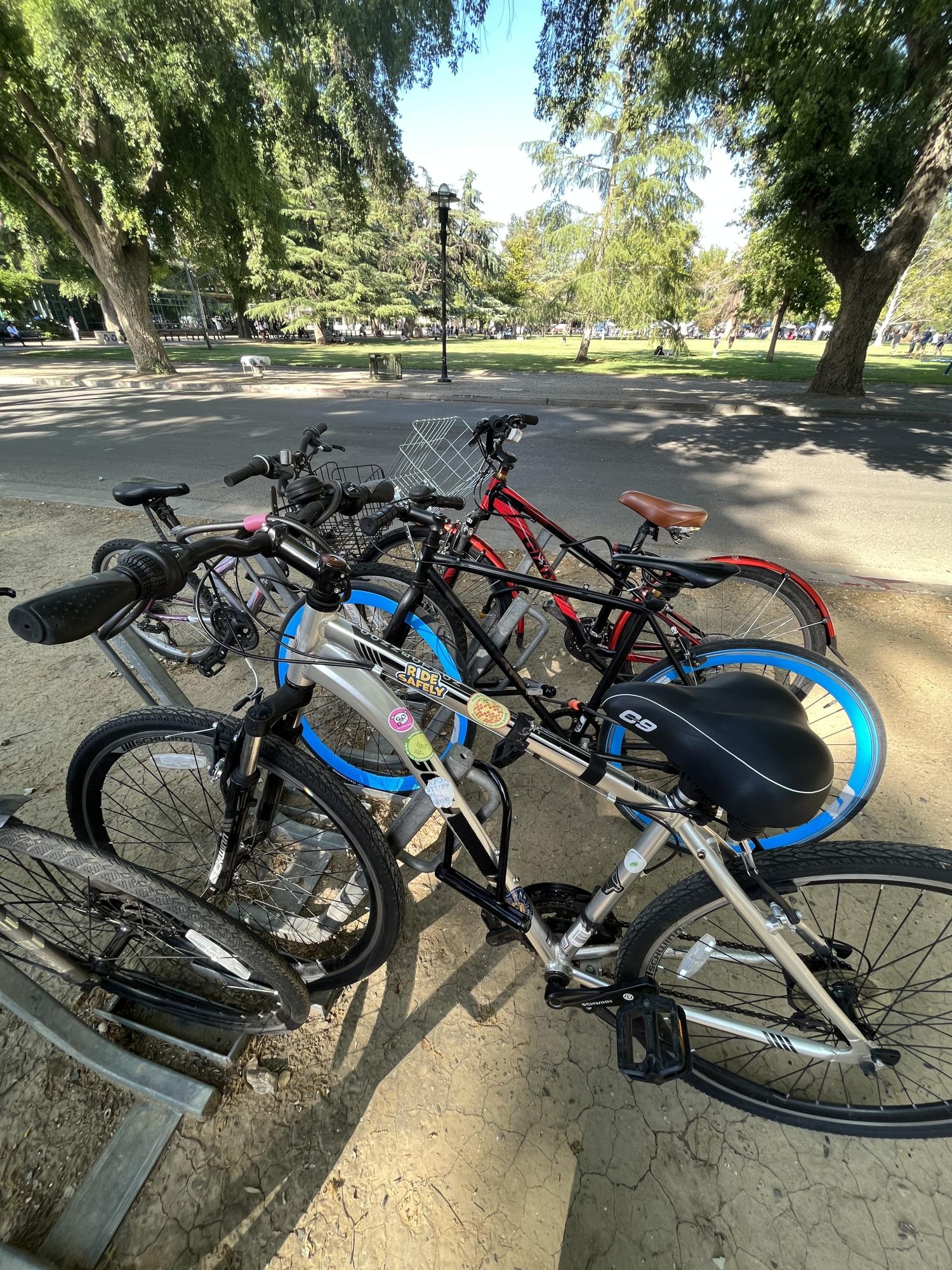 2017 Schwinn S5926WM Silver, gray or bare metal