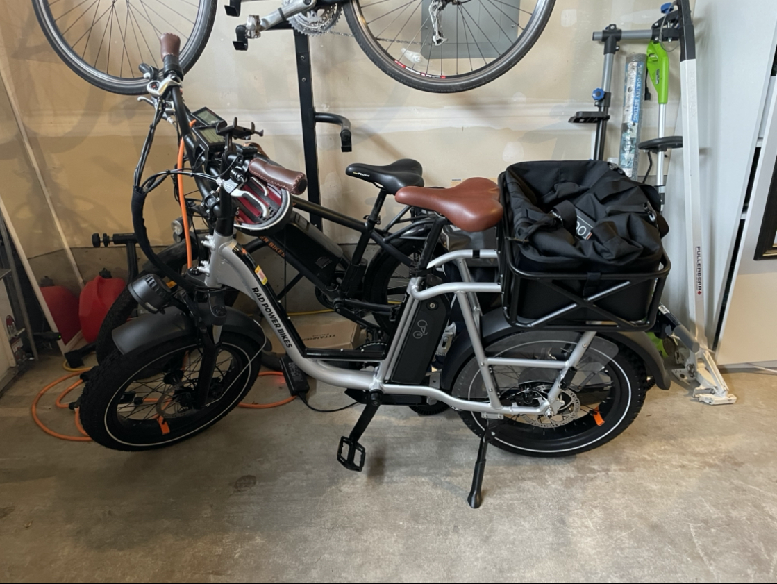 2020 Rad Power Bikes Rad Runner Plus Silver, gray or bare metal
