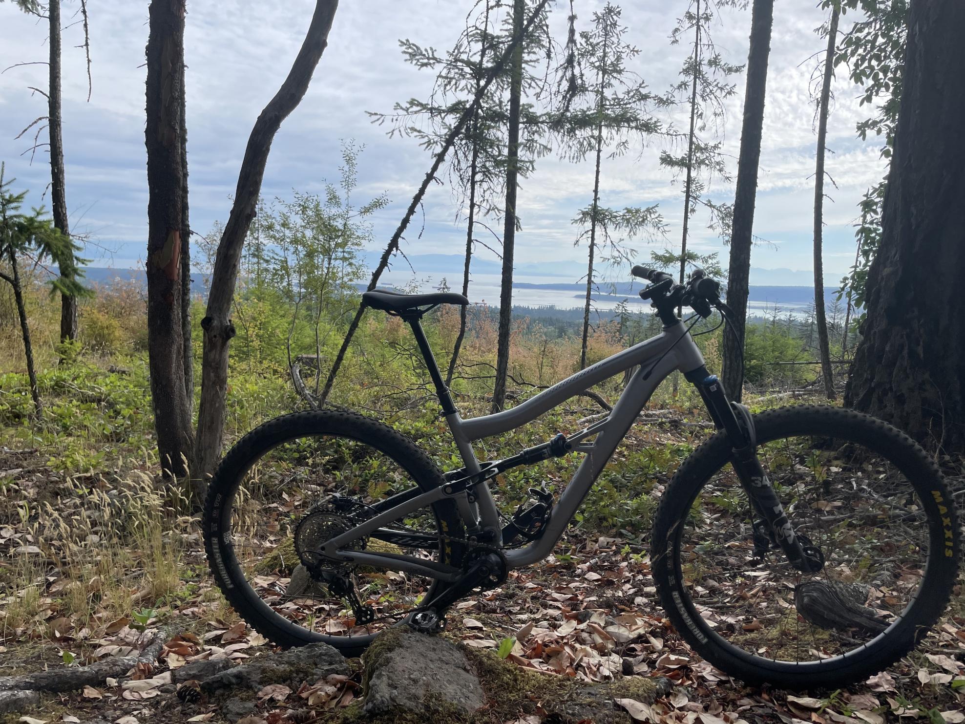 2022 Ibis Ripley AF Silver, gray or bare metal