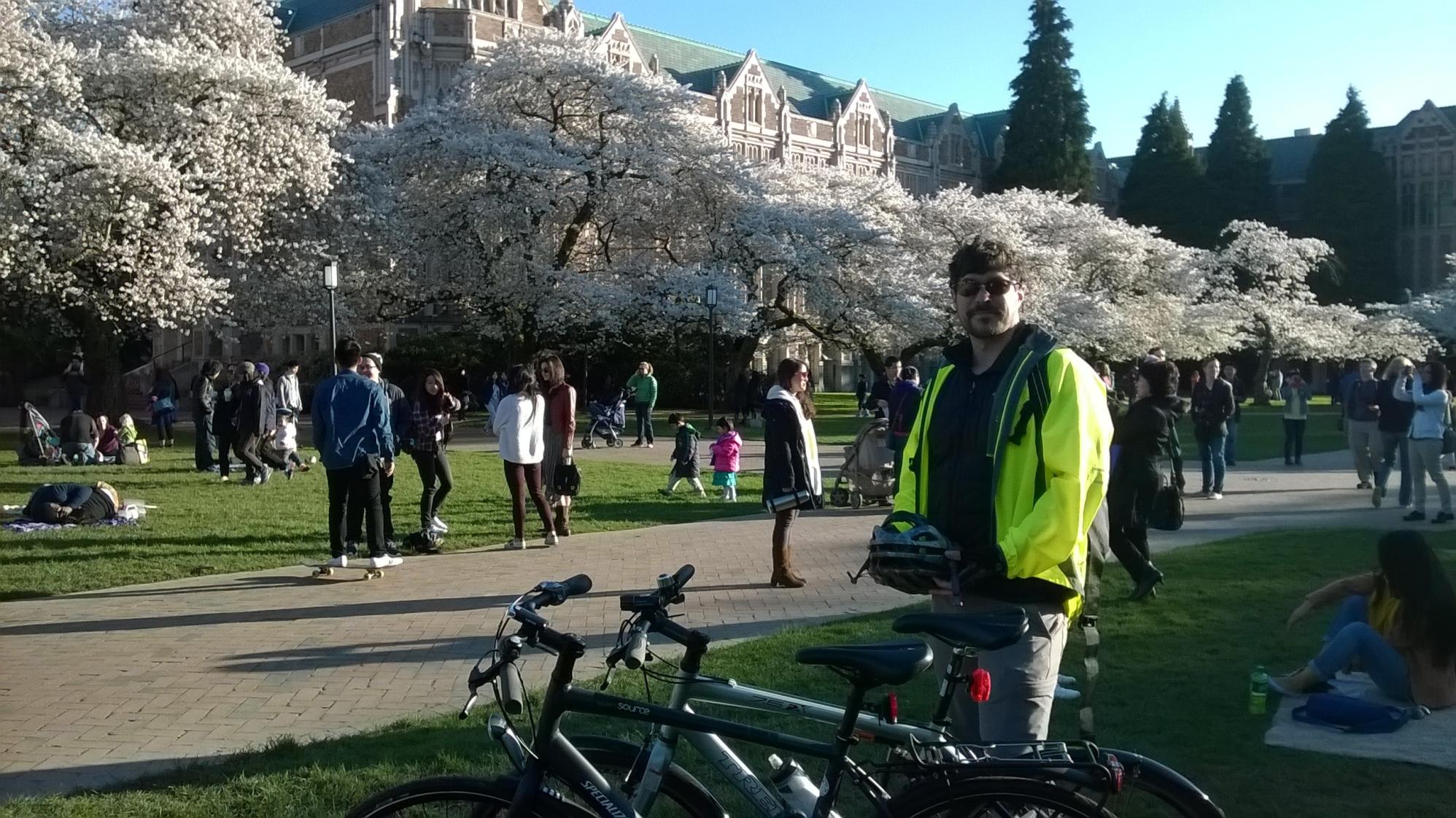 2012 Specialized Silver or Gray and Black