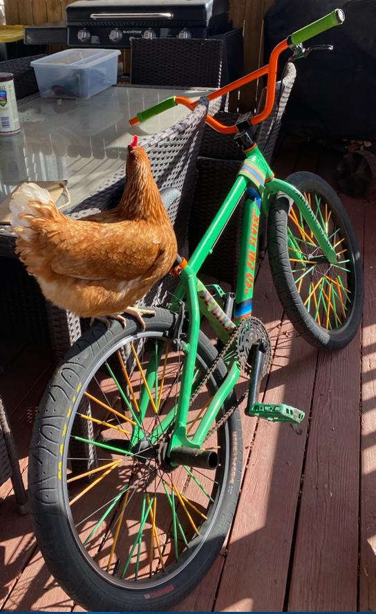 2020 SE Bikes BI SE SO Cal Green 24 Green