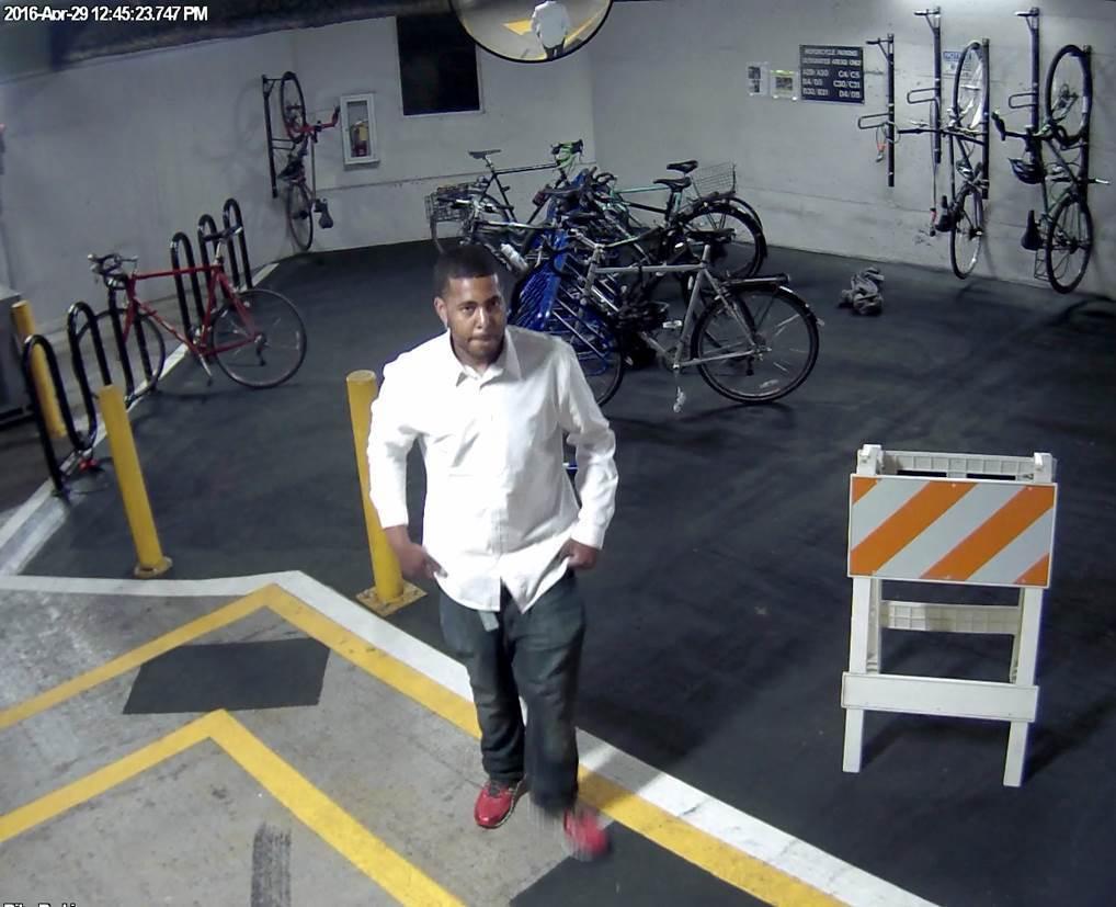 The thief who took my bike