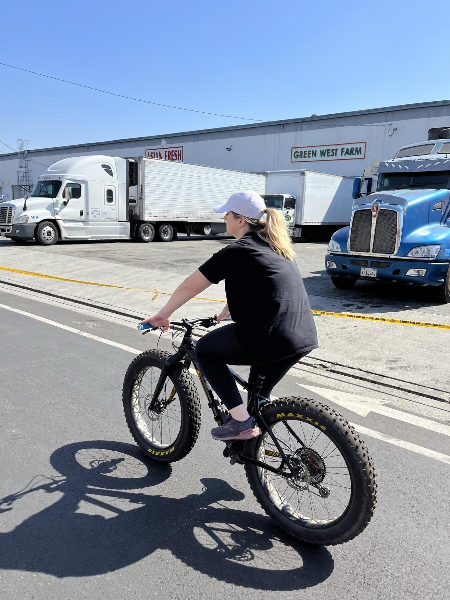 2015 Specialized Fatboy Black and Yellow or Gold