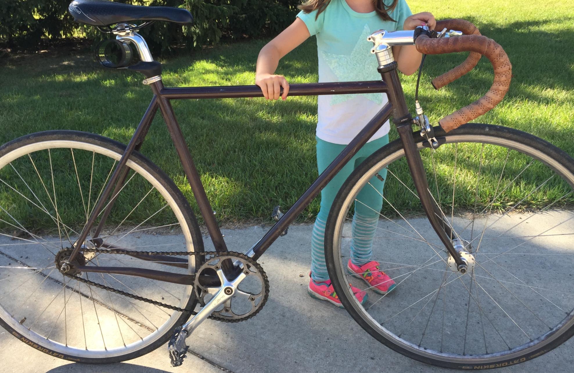 2008 Surly Steamroller Brown