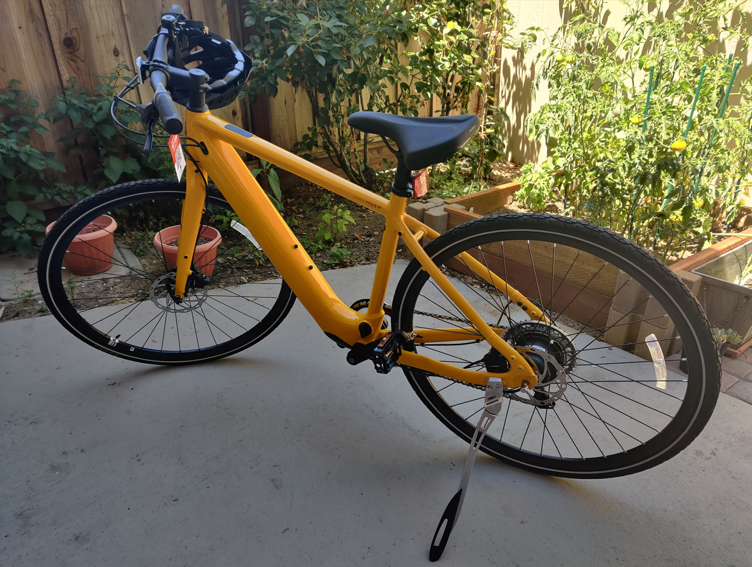 2022 Momentum Voya E+3 Yellow or Gold