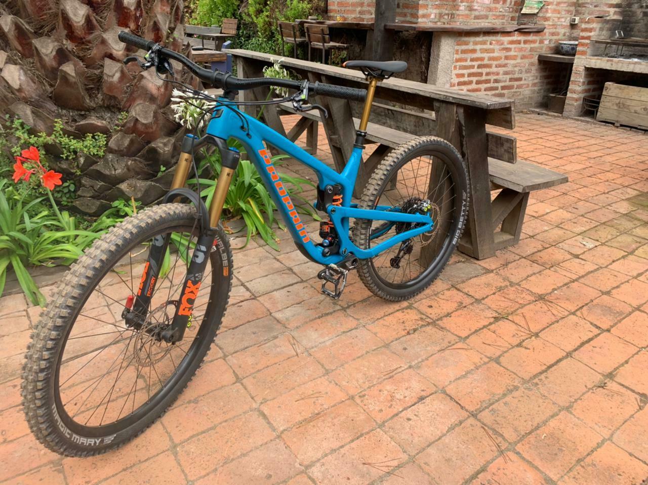 2021 Propain Tyee Blue and Orange