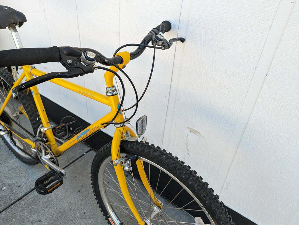 Mt Shasta Backwoods Yellow or Gold