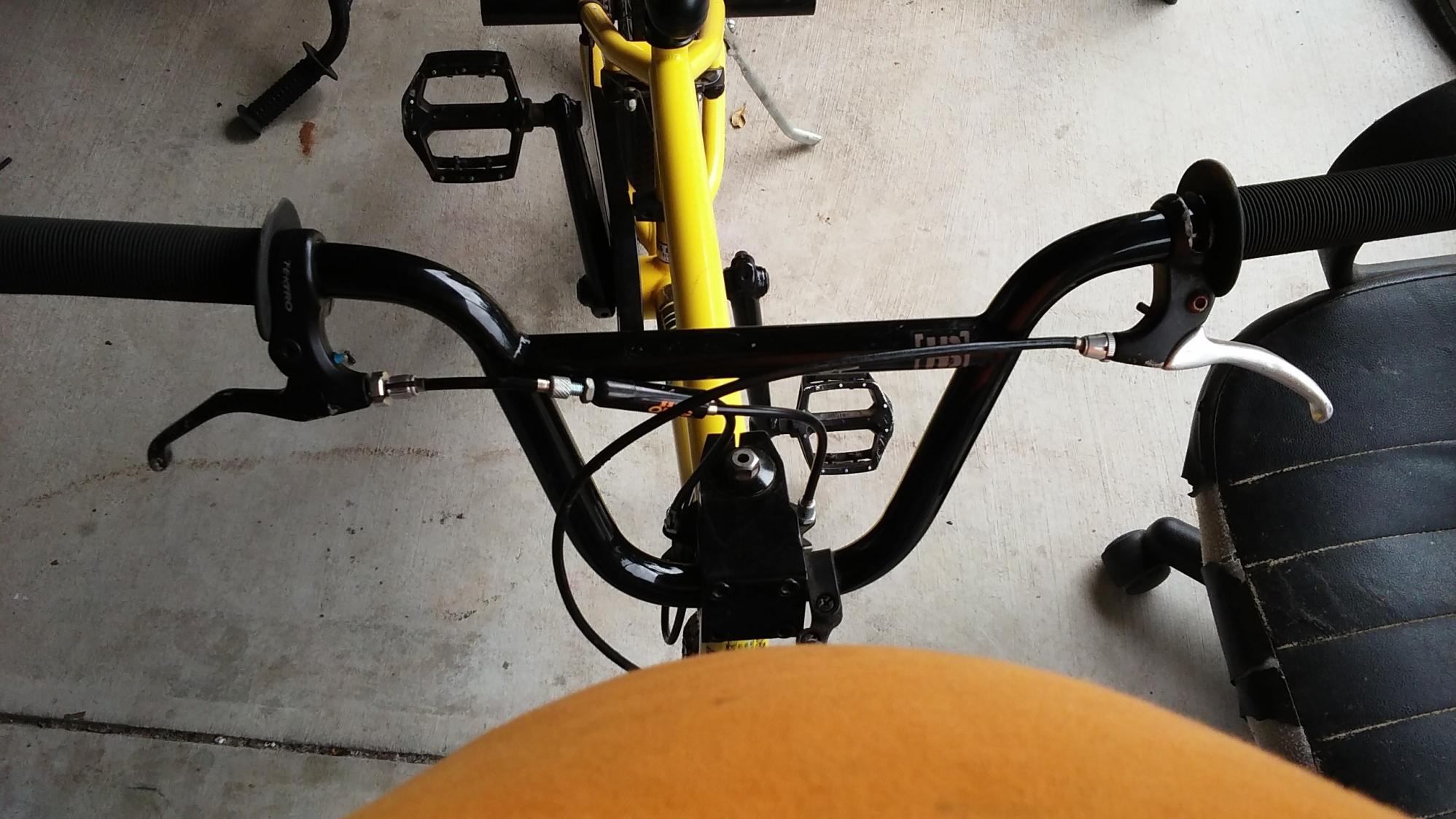 Hoffman EL1 Yellow or Gold