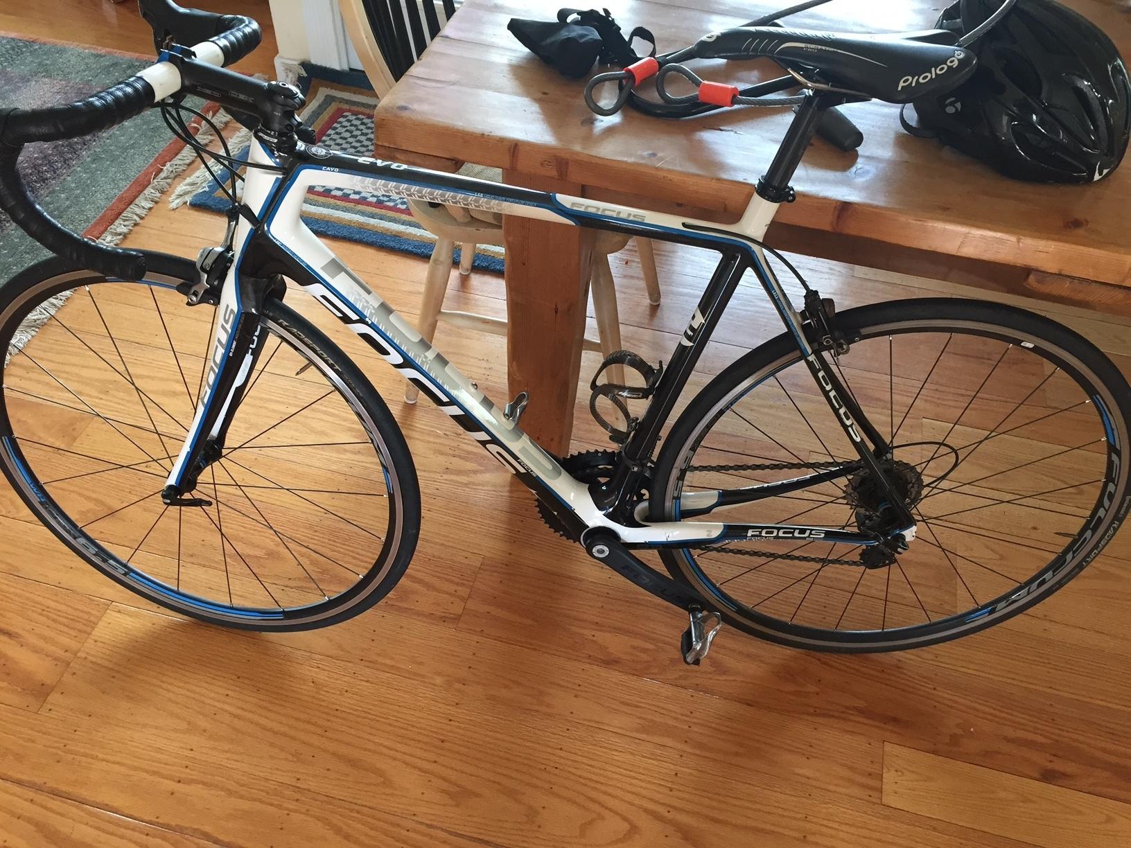 2013 Focus Cayo Evo 4.0   White, Blue, and Black