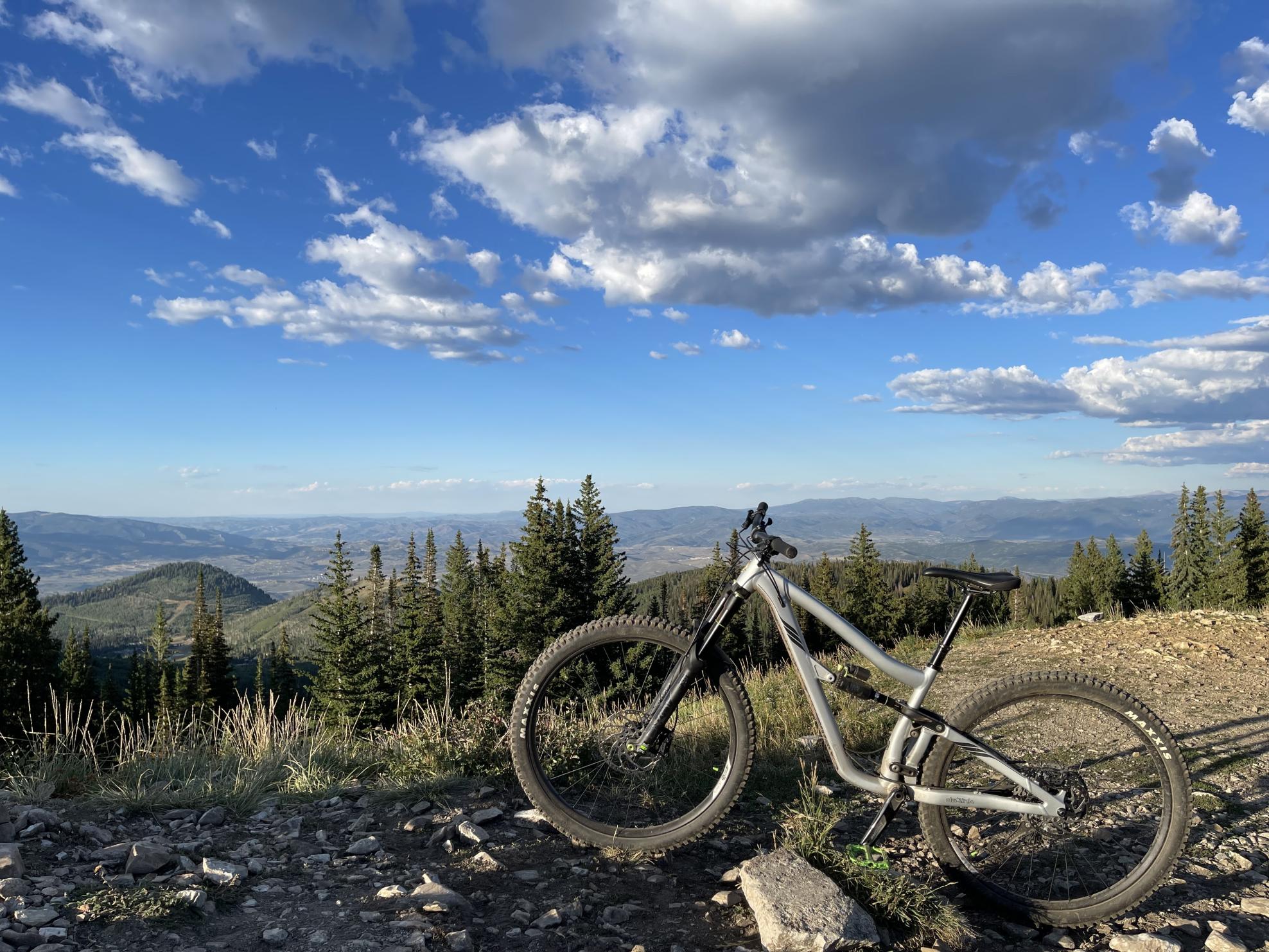 2021 Ibis Ripmo AF Silver, gray or bare metal