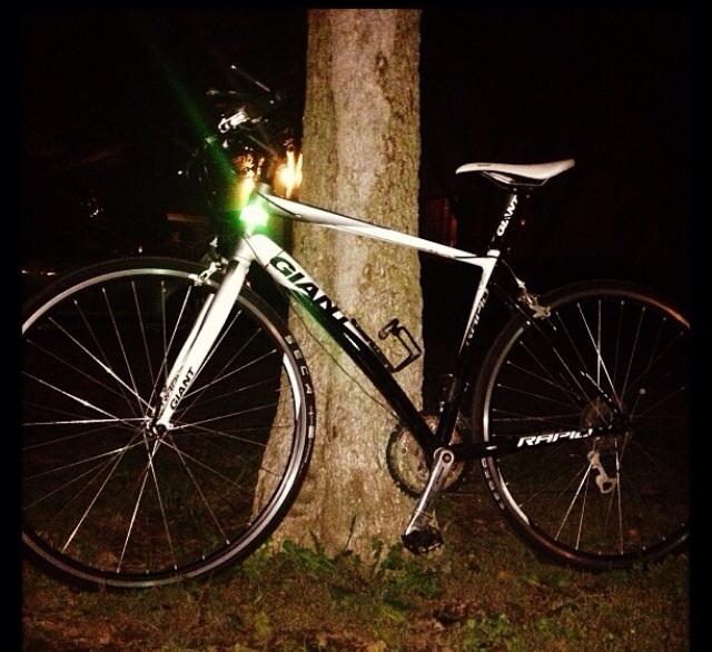 2005 Giant Rabbit   Black and White