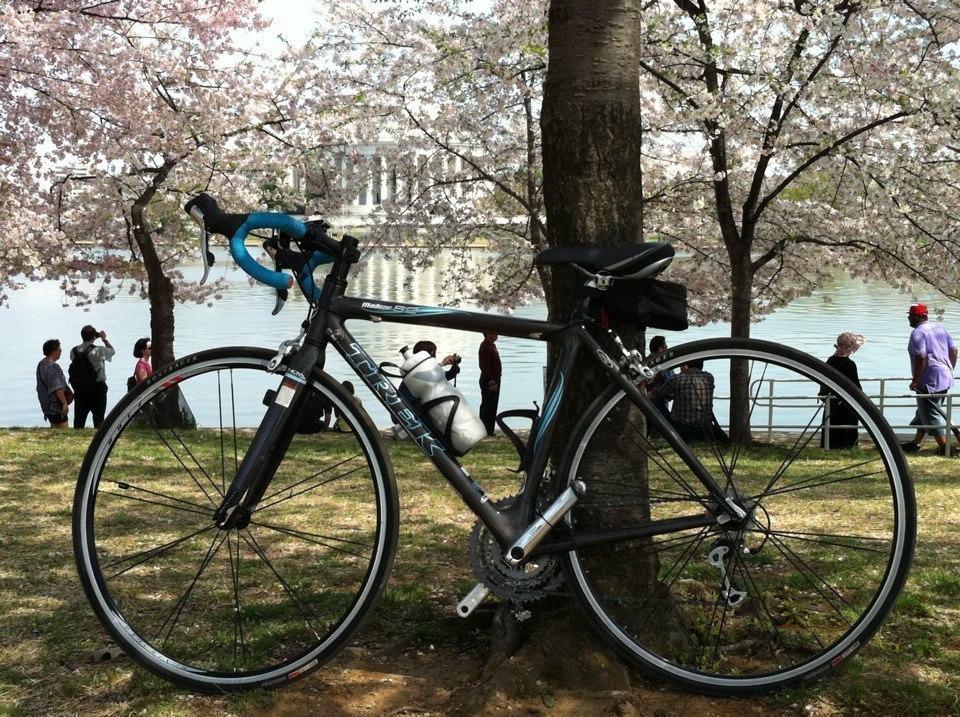 2007 Trek Madone 5.0 Silver or Gray