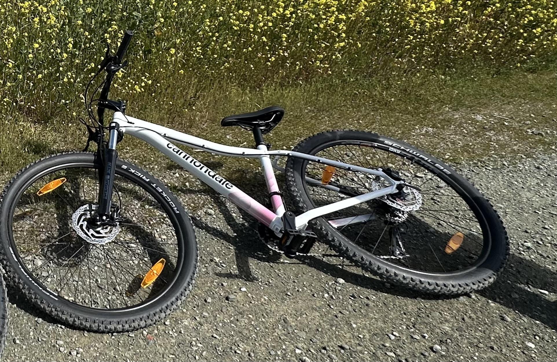 2025 Cannondale Women's Trail 7 White