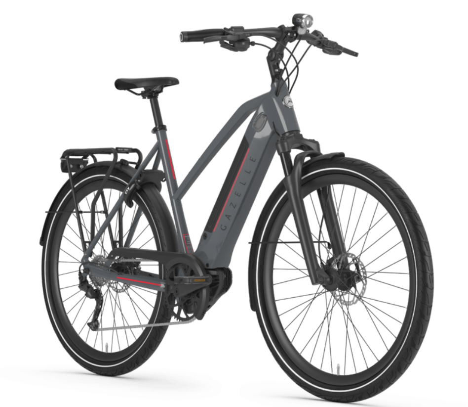 2021 Gazelle Ultimate T10+ Silver, gray or bare metal