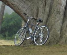 2010 Raleigh Detour 3.5  Blue