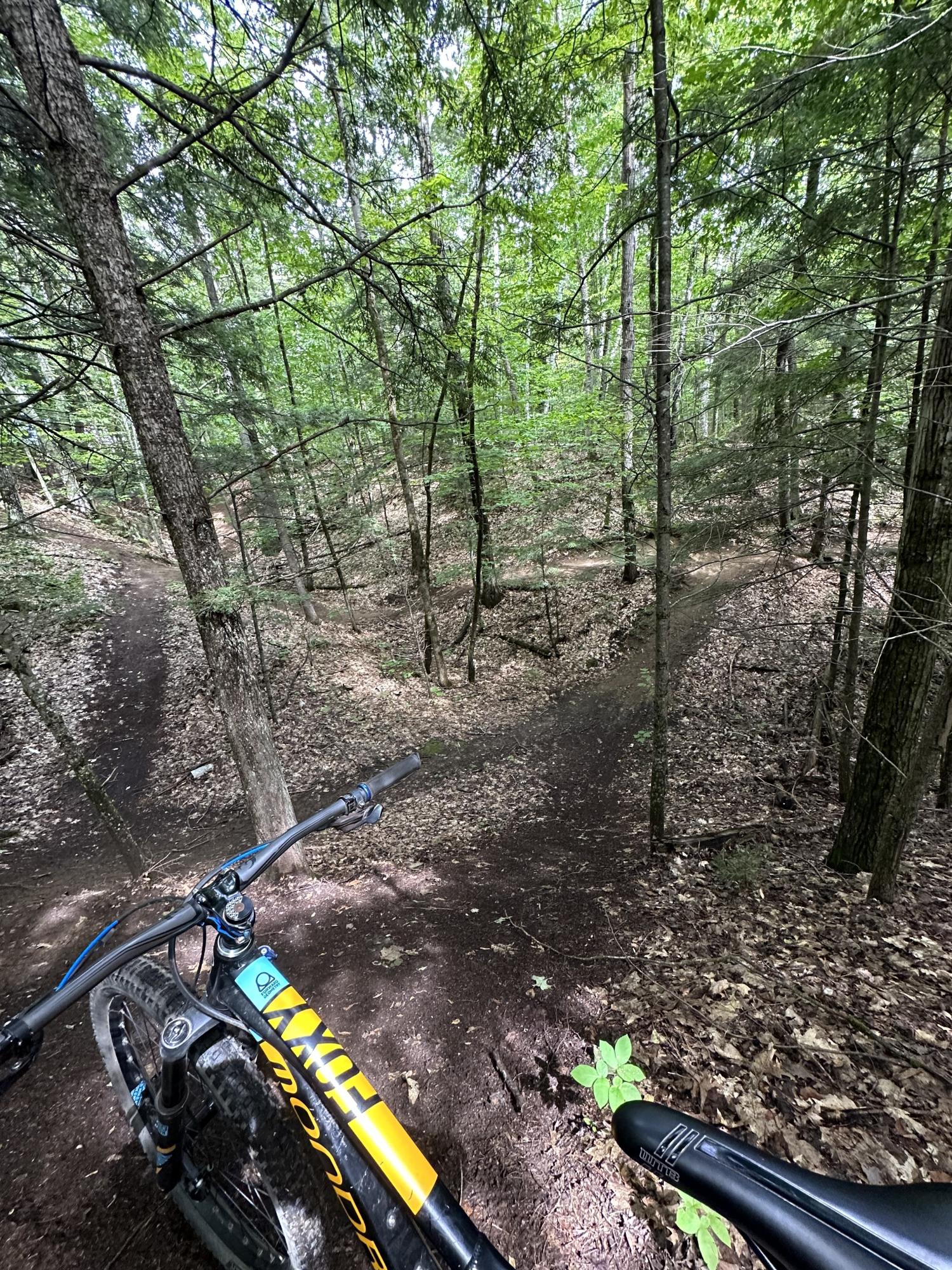 2018 Mondraker Foxy Black