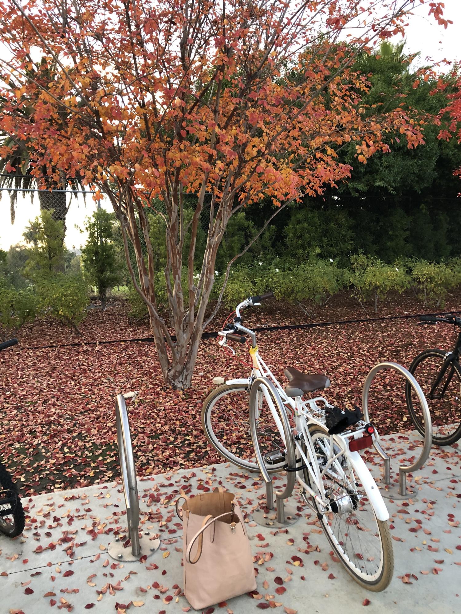 PUBLIC bikes C7i White