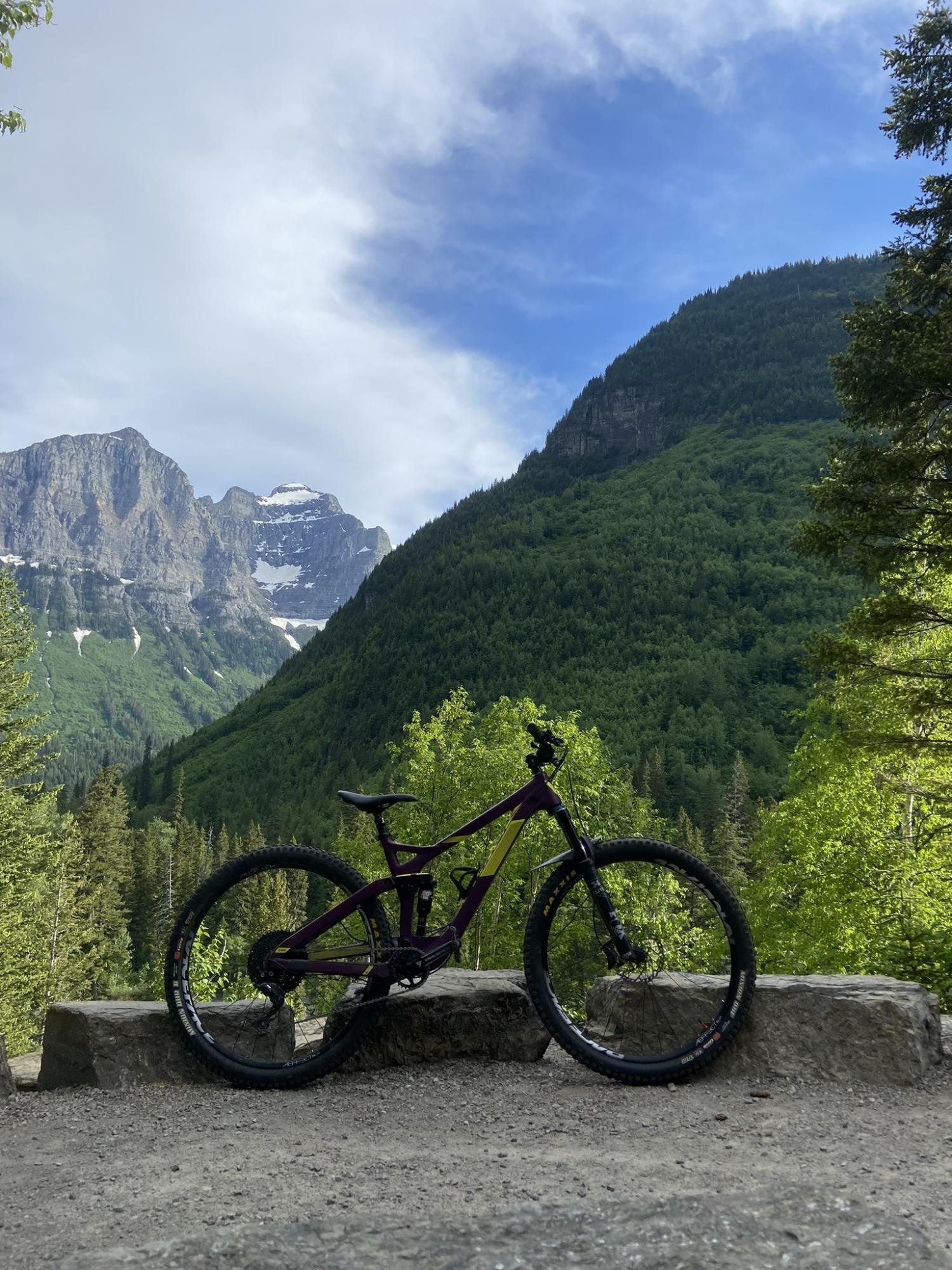 2018 Devinci Marshall Purple and Yellow or Gold