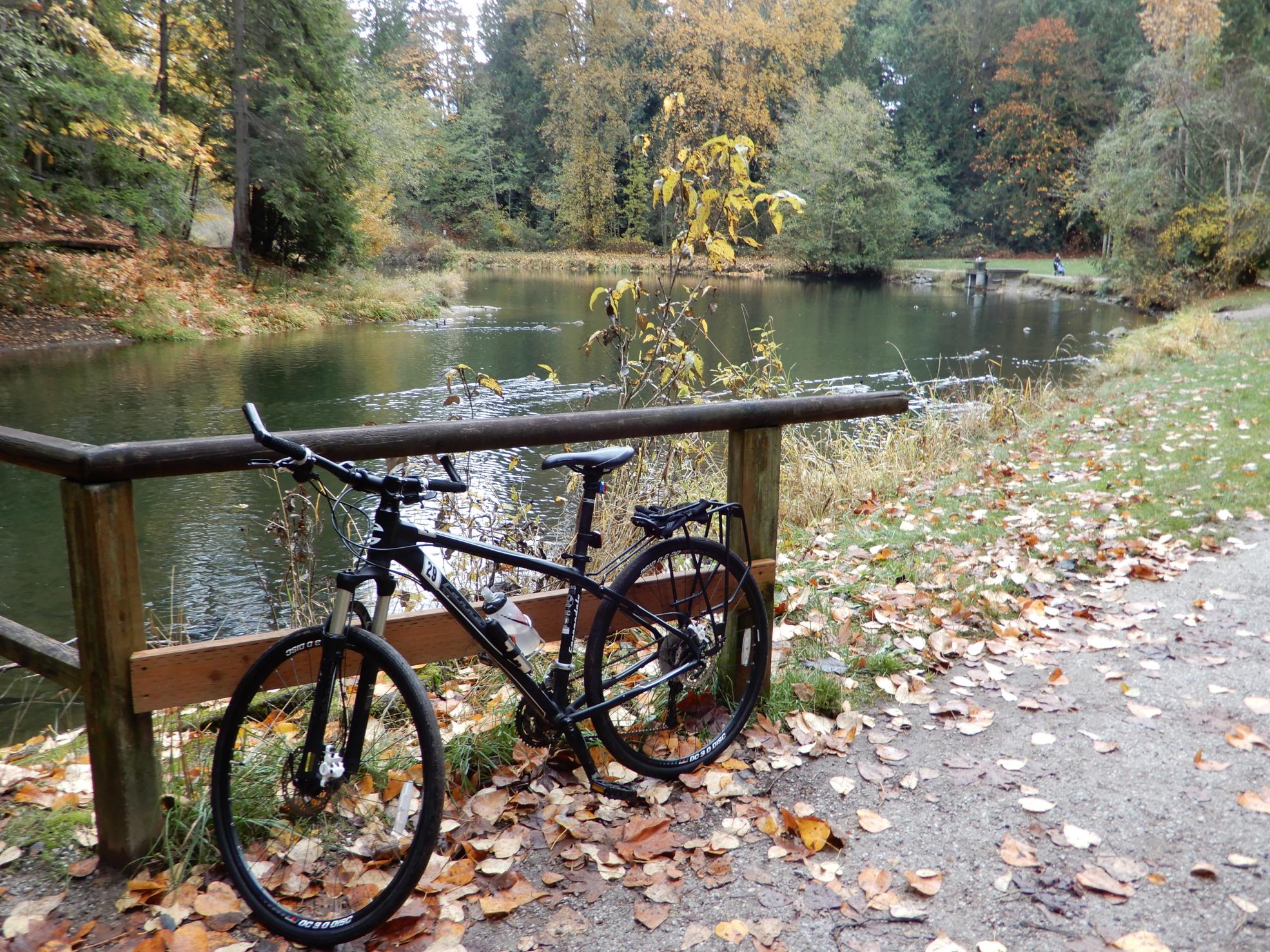2010 Cannondale Trail Sl 29'er 4 Black