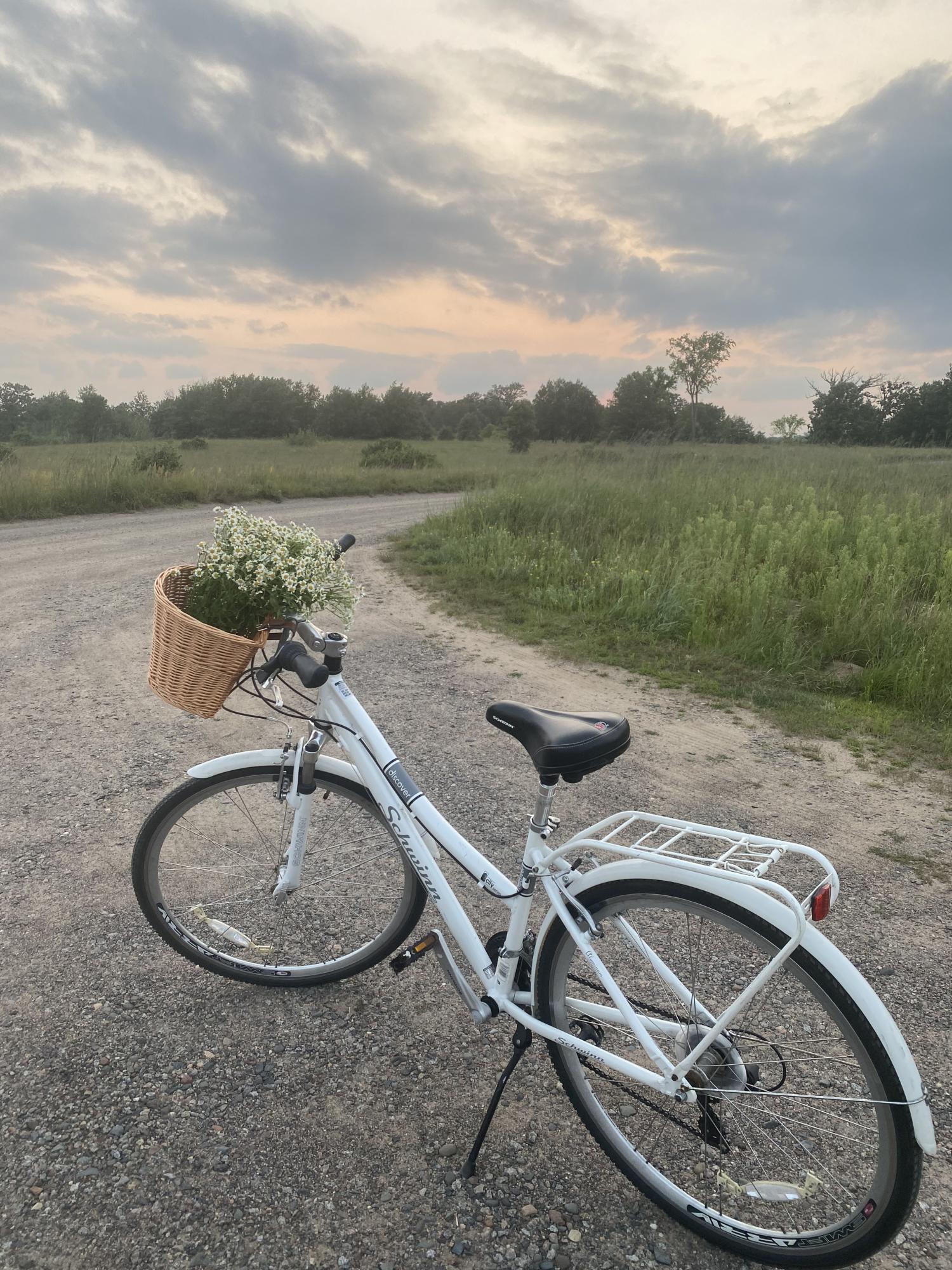 2019 Schwinn Discover Step through cargo rack on back White